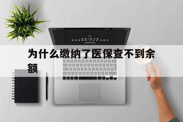 库尔勒最新为什么缴纳了医保查不到余额方法分析(最方便真实的库尔勒医保交了费怎么查不到方法)